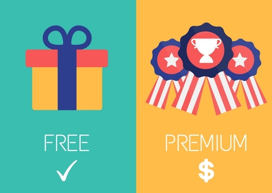 How To Create A Great Freemium Pricing Strategy -